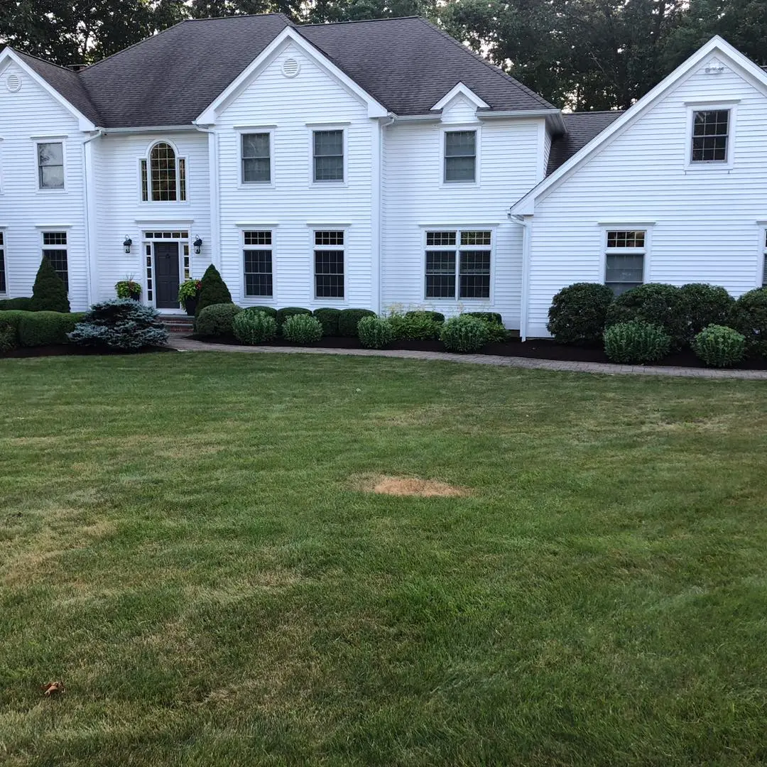 Landscaping