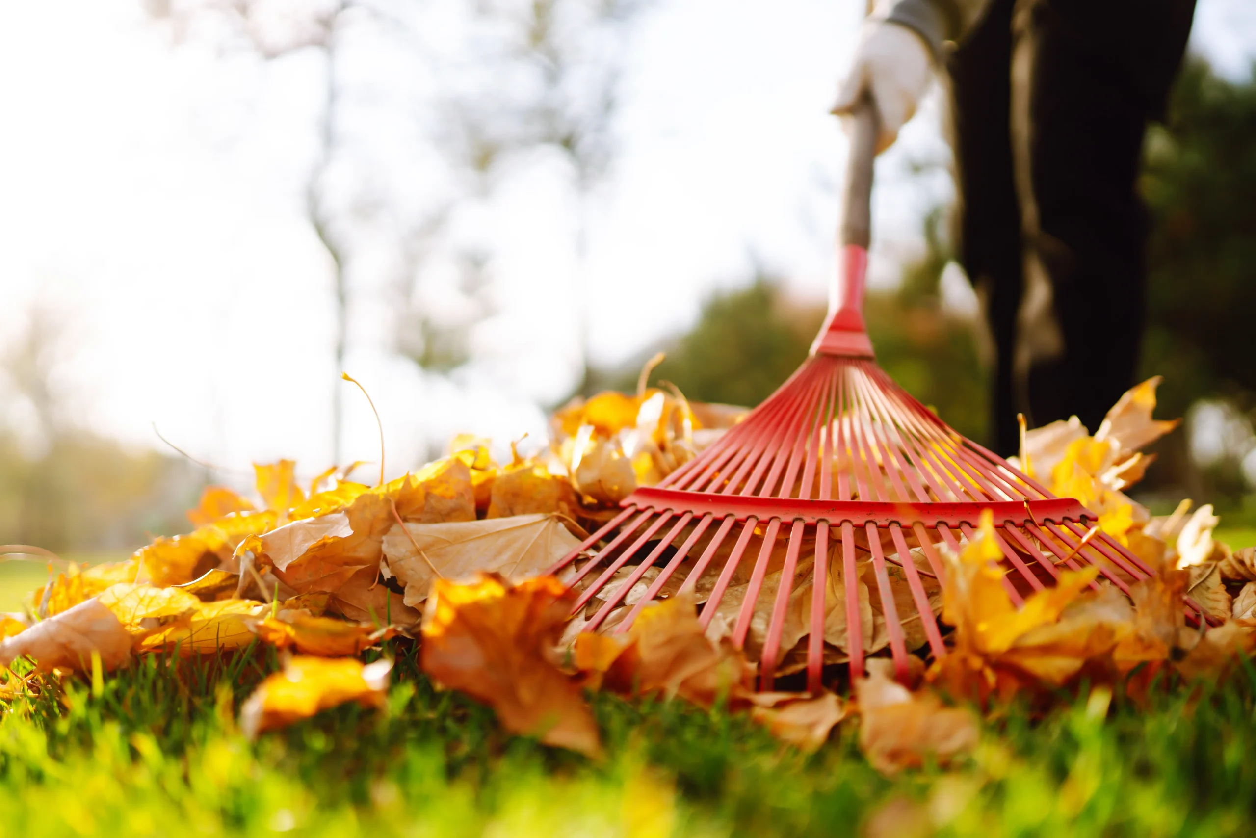 Spring fall cleanup Danbury CT