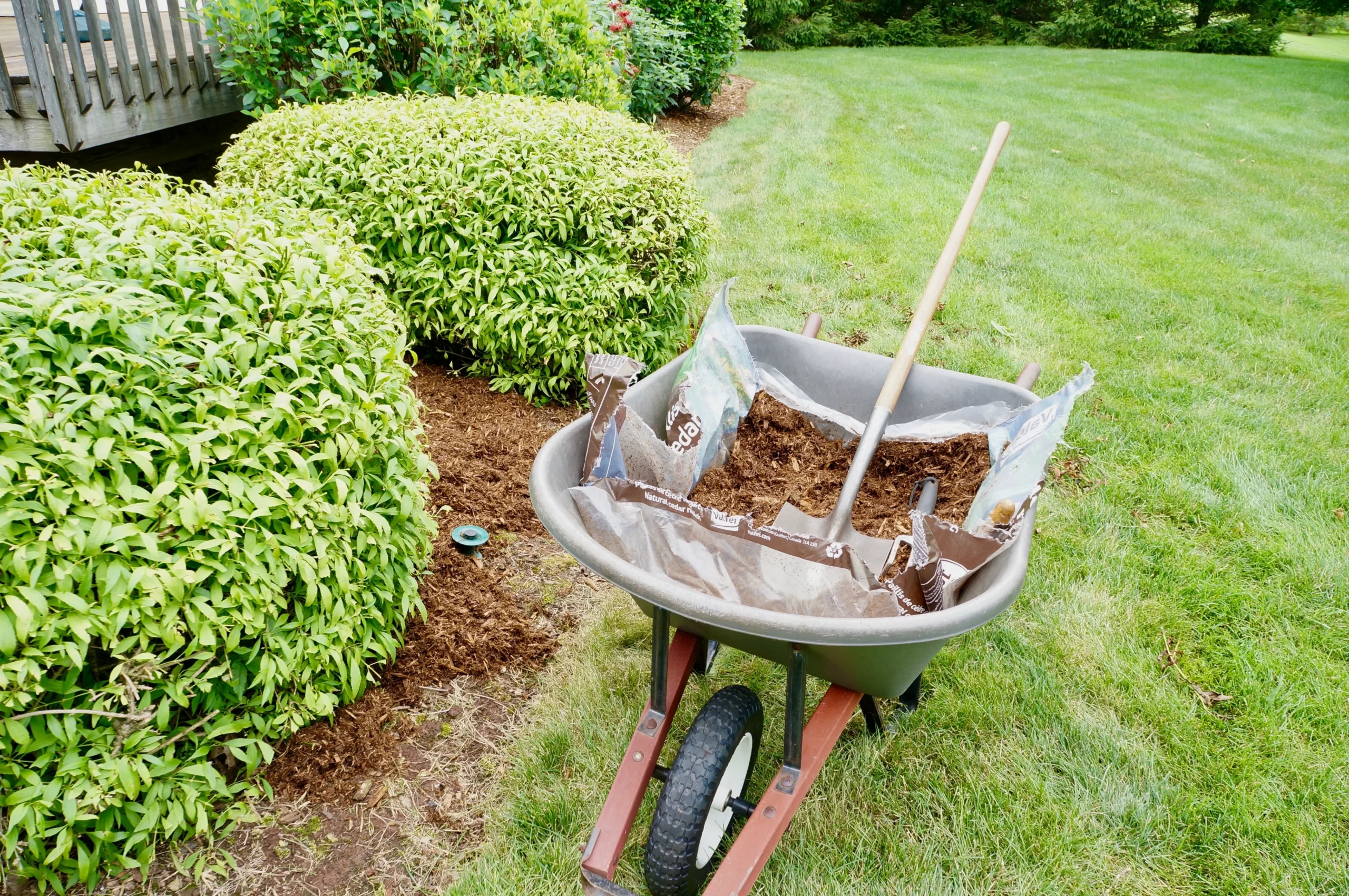 Mulching service Connecticut
